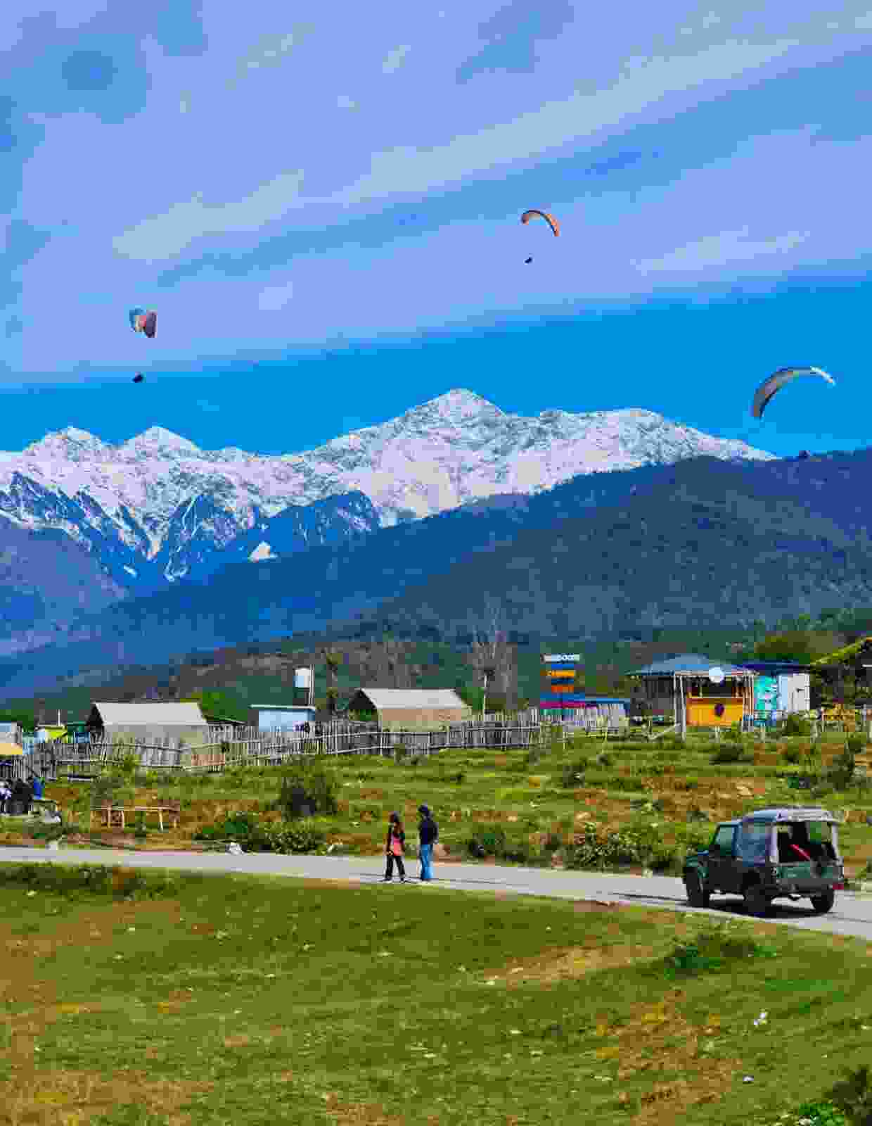 Bir