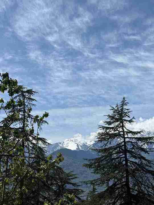 Manali