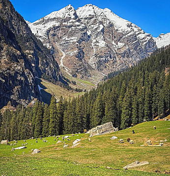 Chyll in Manali