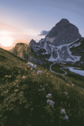 Manali Escape