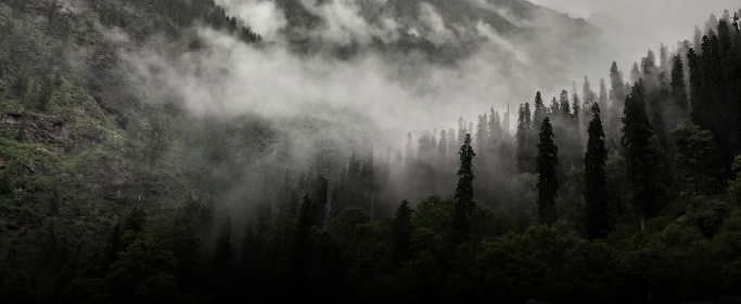 Experience Jibhi & Shangarh the local way 