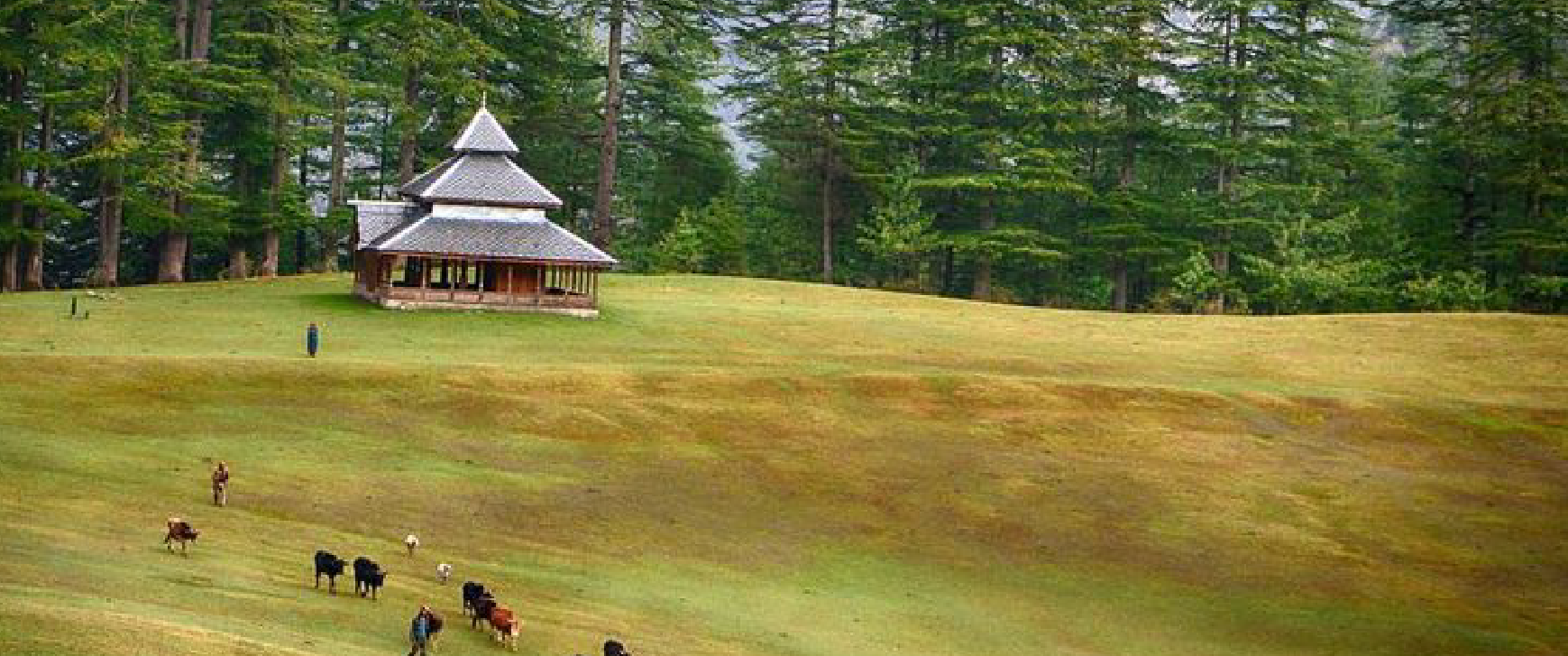 The Jibhi & Shangarh Mountain Escape